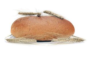 bröd från ett vete foto