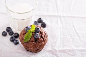 chokladmuffin med blåbär