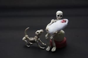 skelettmamma med sina barn och en skeletthund foto