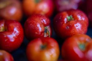 brasiliansk frukt acerola tomat mat foto