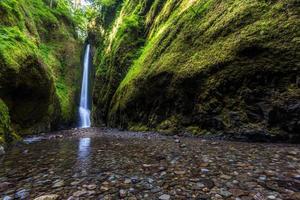 vacker natur i Oneonta Gorge Trail, Oregon
