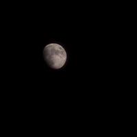 moon timelapse, stock time lapse fullmåneuppgång i mörk natur himmel, nattetid. fullmåneskiva time lapse med månen lyser upp i natten mörk svart himmel. högkvalitativa gratis videofilmer eller timelapse foto