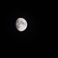 moon timelapse, stock time lapse fullmåneuppgång i mörk natur himmel, nattetid. fullmåneskiva time lapse med månen lyser upp i natten mörk svart himmel. högkvalitativa gratis videofilmer eller timelapse foto