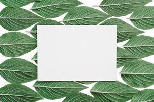 kreativa gröna bladmönster med foto
