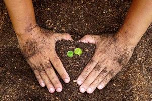 närbild hand av person som håller överflöd jord med ung växt i handen för jordbruk eller plantering persika natur koncept. foto