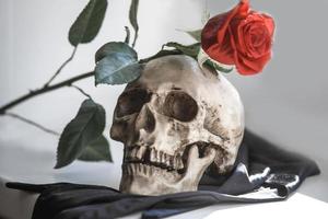 en mänsklig skalle med en röd ros på en grå bakgrund. begreppet kärlek och död, halloween, santa muerte-helig död. blomma i tänderna på ett skelett foto