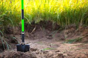 spade sätts in i marken för plantering på våren. våren, trädgårdsväxter, arbete på en tomt, landskapsplanering, trädgårdsarbete, odling av blommor, fruktgrödor i trädgården. kopieringsutrymme foto