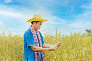 Asiatiska bönder i kläder och hattar befinner sig i ett fält av gyllene risfält. foto