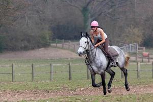 Ashurstwood, West Sussex, Storbritannien, 2011. Ridning foto