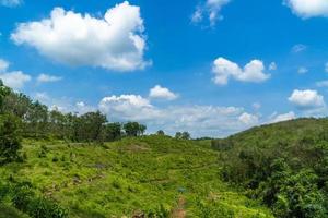 grönt naturlandskap med blå himmel i det soliga landskapet foto