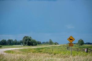 rådjur som korsar skylt vid motorväg 15, Saskatchewan, Kanada. foto