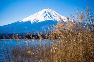 vackert landskap av Fujiberget och kawaguchisjön i april. japan. foto