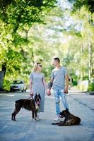 par i kärlek med två hundar pit bull terrier på en promenad. foto