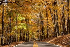 väg som leder till Coopers Rock State Park med utsikt över västra Virginia med höstfärger foto