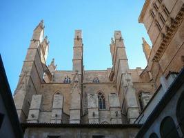 la seu-katedralen i Palma de Mallorca foto