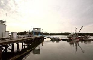 dockade fiskebåtar vid port edward, brittisk columbia foto