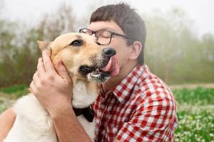 glad man sitter med blandras herdehund på grönt gräs i vårblommor foto