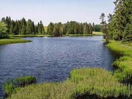 utsikt över en vacker sjö i en utomhuspark vid klart väder foto