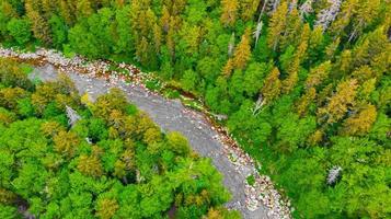 ammonoosuc flodkurva nära mount washington foto