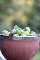 arv gröna äpplen i en skål med bakgrund