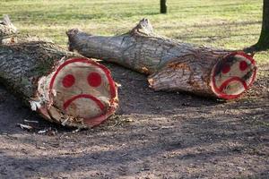 fällda trädstammar med sorglig smiley graffiti foto