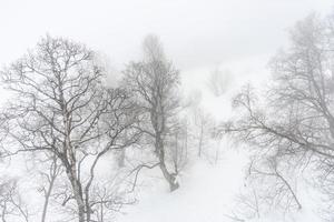 täckt med snö Kaukasus berg foto