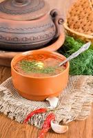borsch, soppa från rödbetor och kål foto