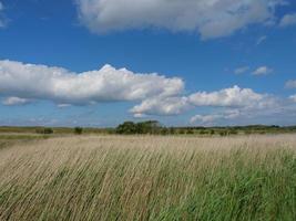 ön baltrum i Nordsjön foto