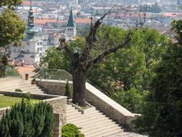 bratislava vid floden Donau foto