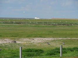 baltrum island i tyskland foto