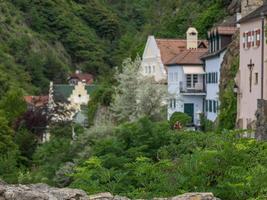 floden Donau i Österrike foto