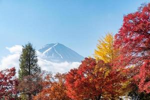 Mount Fuji på lönnträdgården på hösten foto