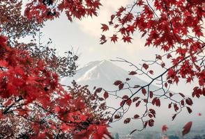 Fuji-san berg i röda löv lönn på hösten foto