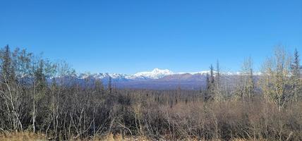 denali peak mt Mckinley i alaska foto