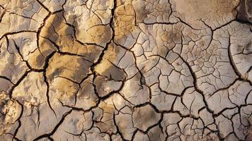 sprickor i den torkade jorden i torr säsong för texturerad bakgrund. foto