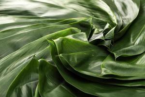 zongzi bacang blad bakgrund foto