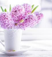 rosa hyacinter i vit vas på vit bakgrund