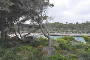 Cala Mondrago-stranden på Mallorca foto