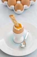 mjukt kokt ägg i äggkoppen med rostat bröd på bordet foto