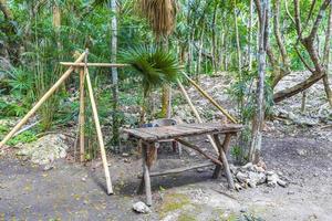 fantastiskt blått turkost vatten och kalkstensgrotta sjunkhål cenote mexico. foto