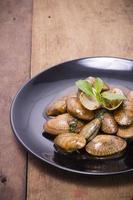stekt musslor med kryddig sås, thailändsk mat foto