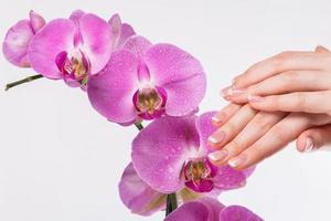 fransk manikyr och orkidéblomma foto