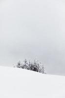 snöig kulle och mulen himmel foto