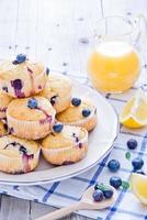 blåbär muffins foto