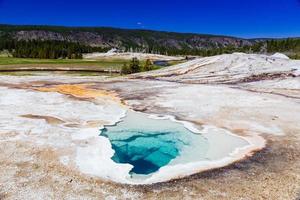 Yellowstone nationalpark foto