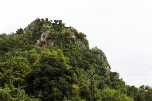 berg klippskog. foto