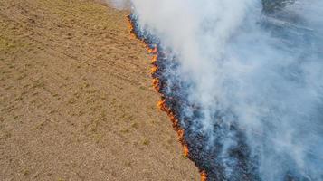 torrt gräs brännskador, naturkatastrof. flygperspektiv. ett stort bränt fält täckt av svart sot. stor rök från brinnande platser. Brasilien. sockerrörsplantagen. foto