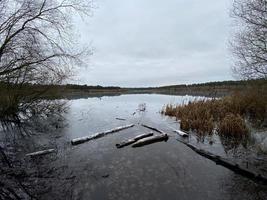 utsikt över delamereskogen i cheshire på vintern foto