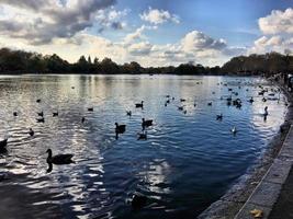 en vy av några fåglar på en sjö i london foto