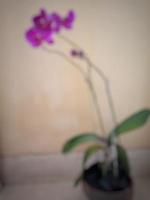 oskärpa foto av lila orkidé blomma prydnadsväxt